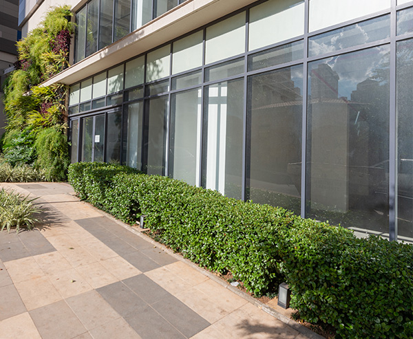 galeria_sp02